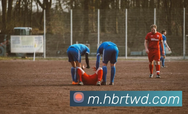 问鼎娱乐平台生态图