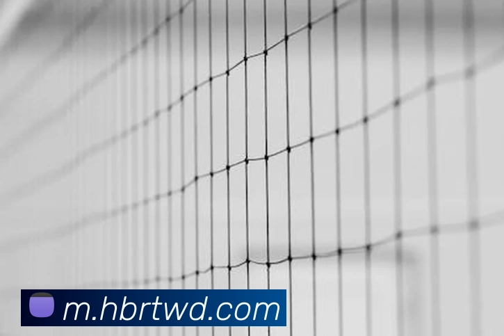 问鼎娱乐APP 封面图